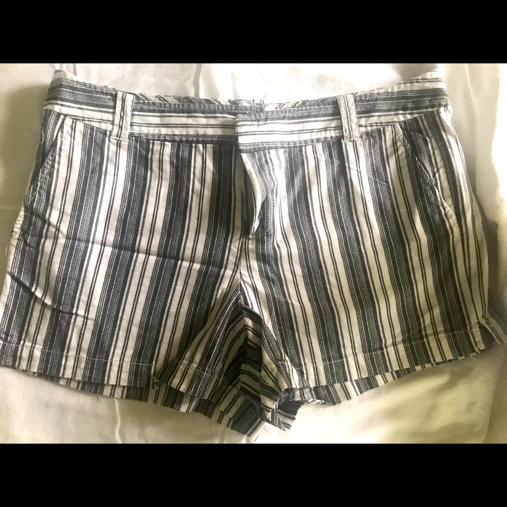 New York & Co. Shorts